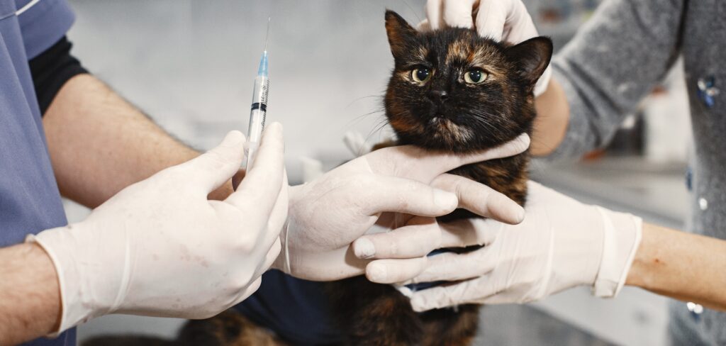 types-of-pet-vaccines